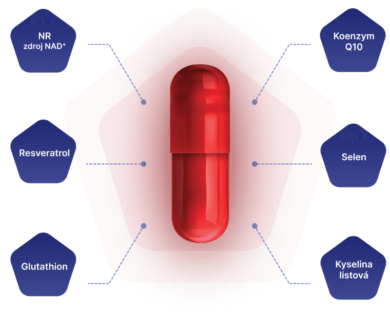 Ilustrace pilulky s ingrediencemi